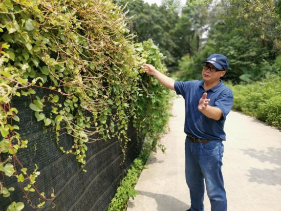 白云山林场招聘信息与职业发展机遇探讨