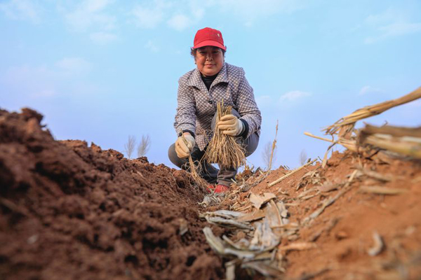 山西省长治市屯留县西贾乡最新新闻报道汇总