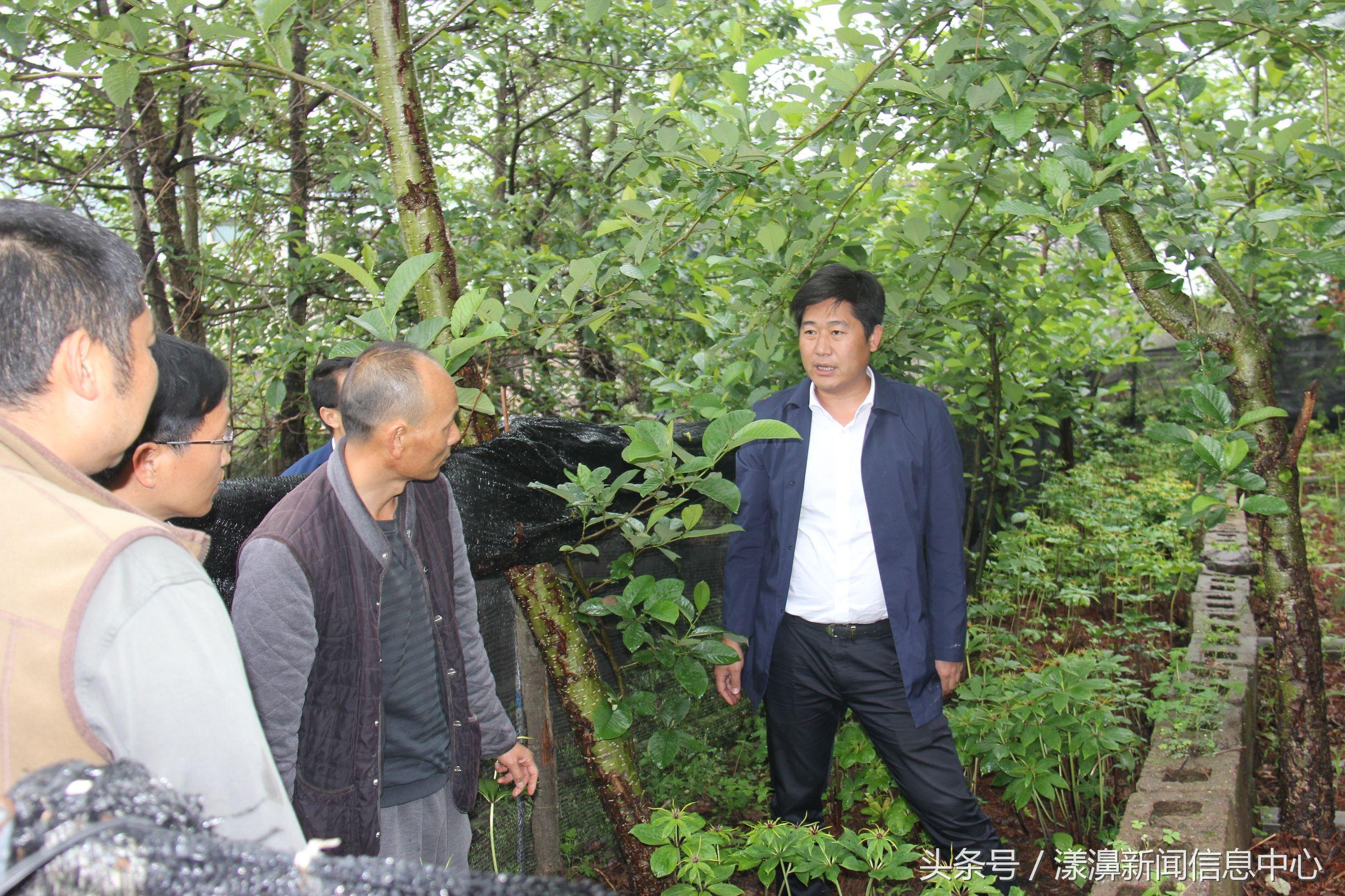 苍山县住房和城乡建设局最新动态报道