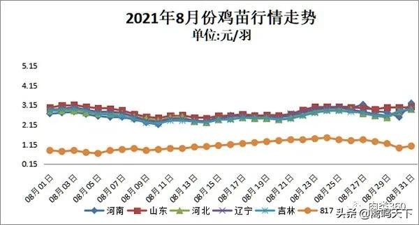 肉鸡最新价格动态解析报告