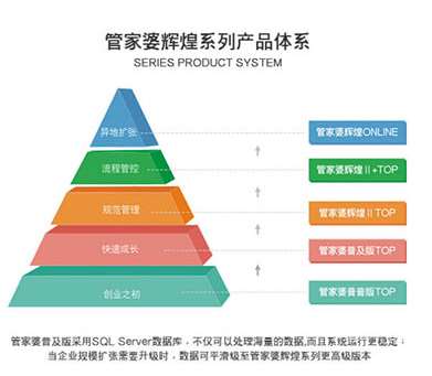 澳门管家婆,多样化策略执行_微型版63.426